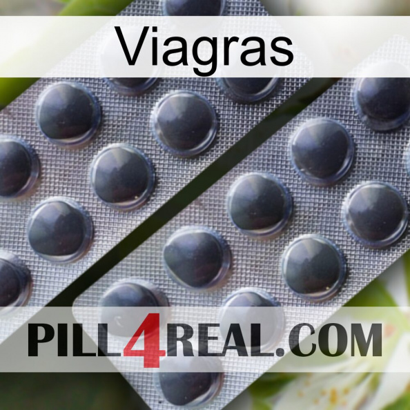 Viagras 31